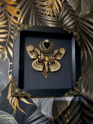 Brahmaea coeur sacrée