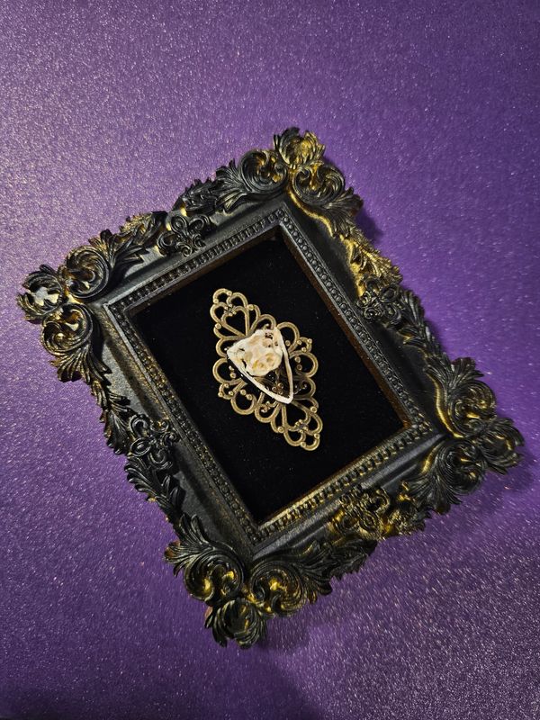 Mini crâne de serpent