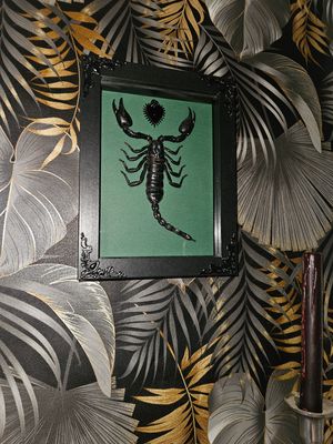 Grand scorpion cœur sacrée vert