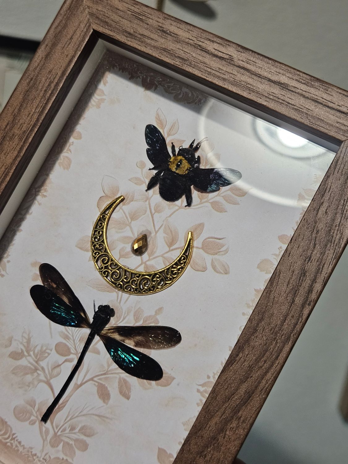 Duo demoiselle abeille