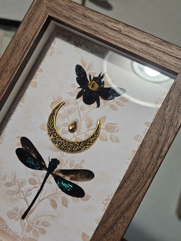 Duo demoiselle abeille