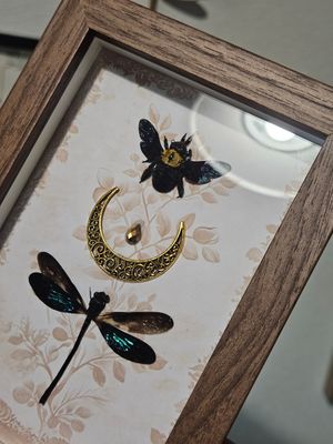 Duo demoiselle abeille