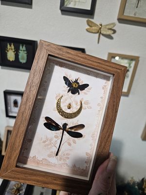 Duo demoiselle abeille