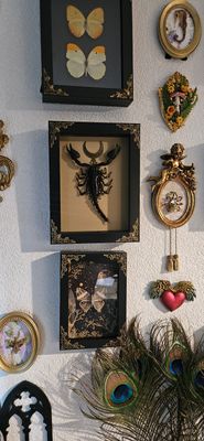 Scorpion or