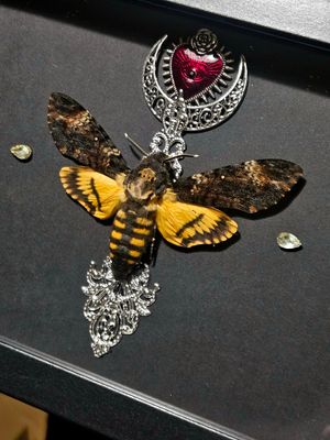 Sphinx tête de mort/ argent