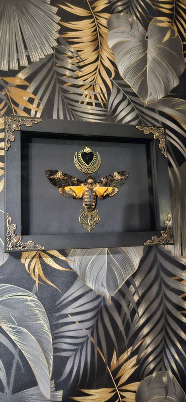 Sphinx coeur de lune