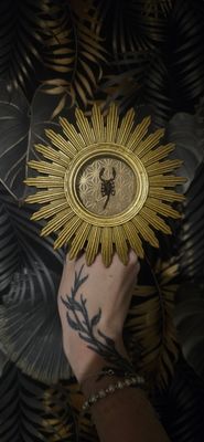 Cadre soleil scorpion