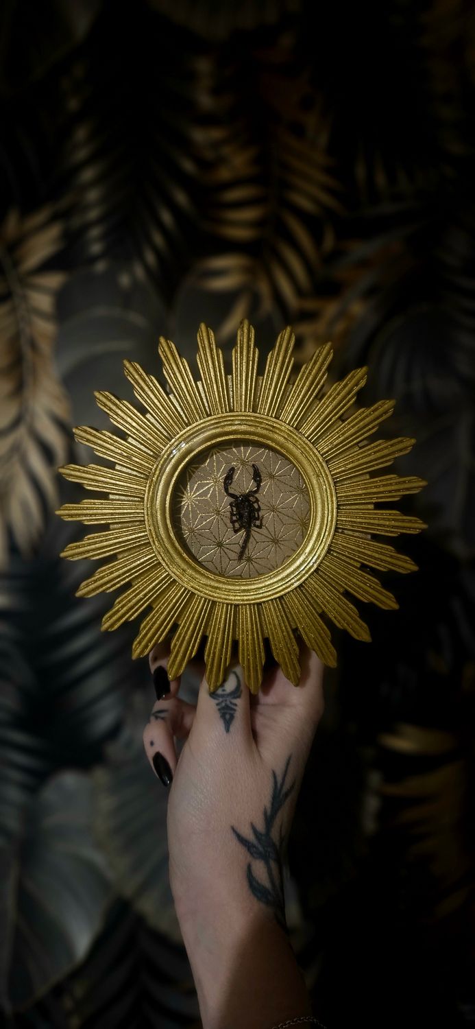 Cadre soleil scorpion