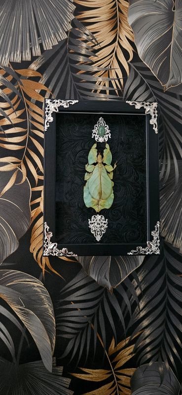 Phasme feuille&amp;aventurine