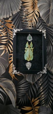 Phasme feuille&amp;aventurine