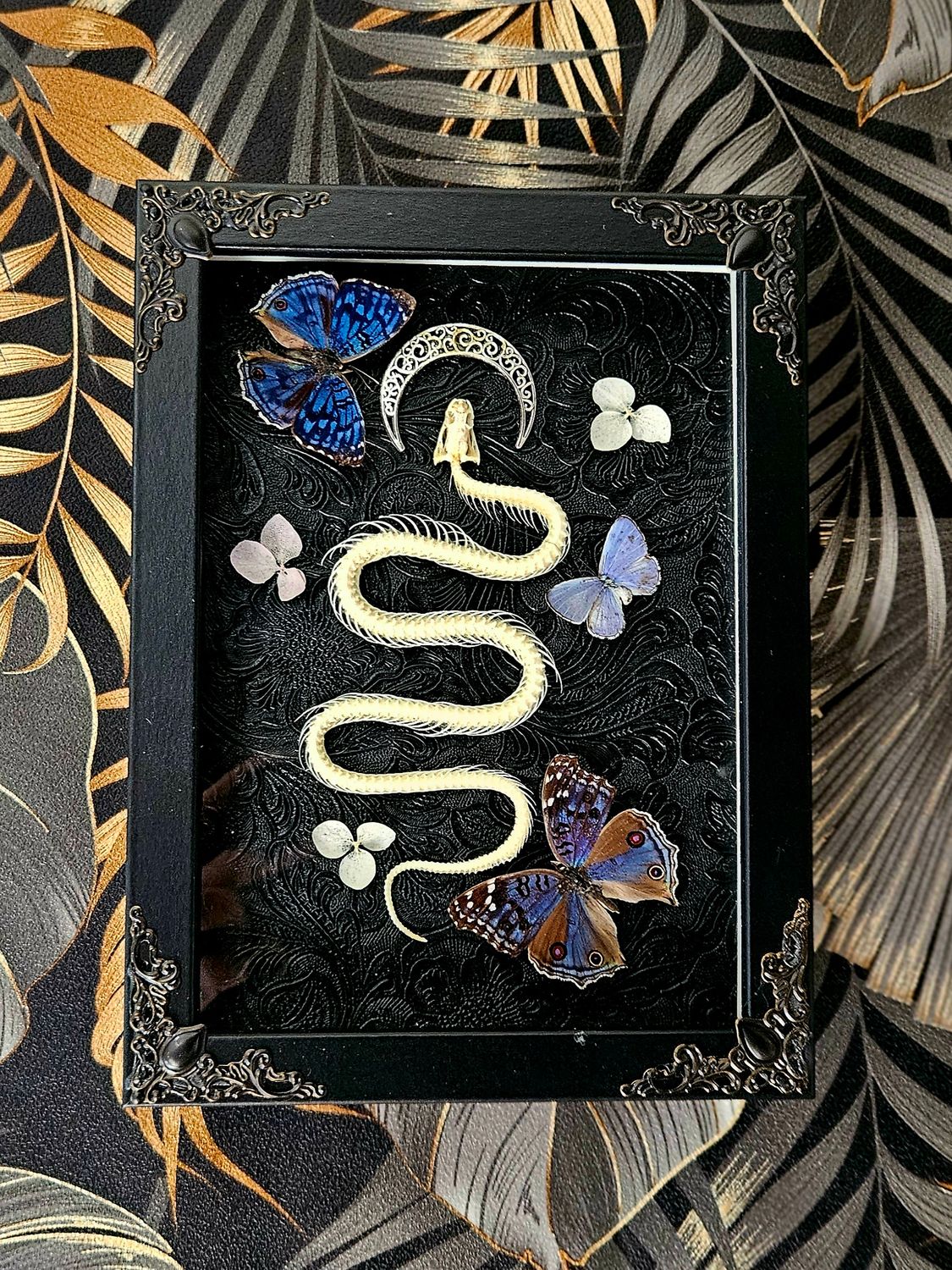 Snake blue