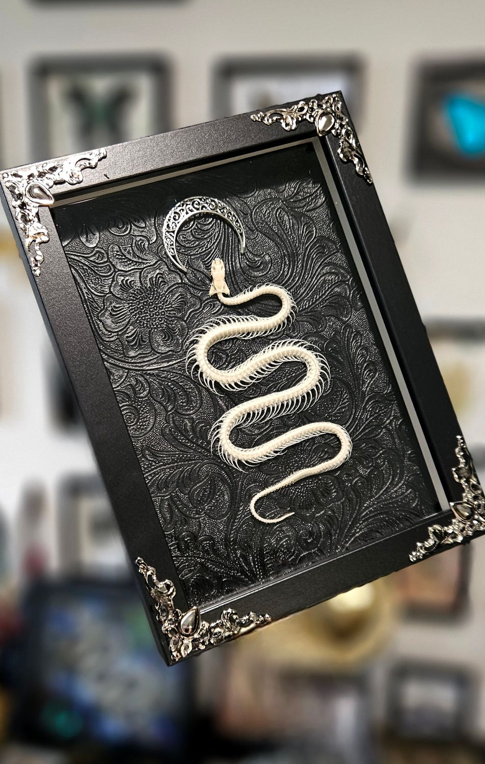 Serpent lune version argent ou or