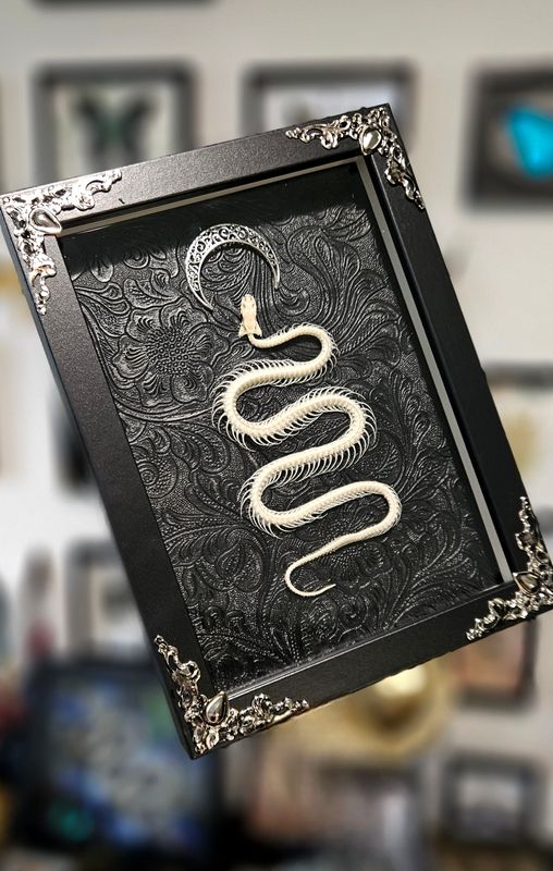 Serpent lune version argent ou or