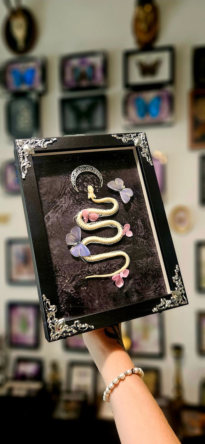 Serpent fleurs&amp;papillons