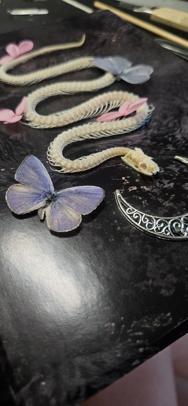 Serpent fleurs&amp;papillons