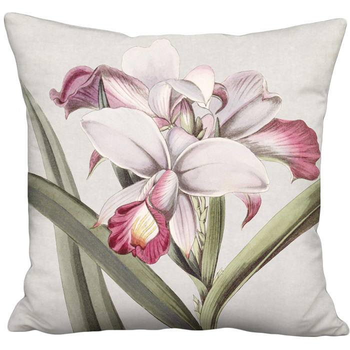 Bamboo Orchid in Plum and Green on French Grey Linen Cotton Pillow Cover