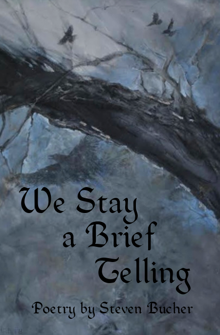 We Stay a Brief Telling, by Steven Bucher
