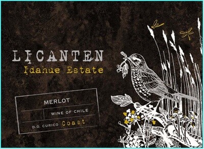 La Ronciere Licanten Merlot 2017 *SALE* La Ronciere Licanten Merlot 2017 *SALE*
