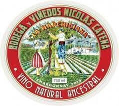 Catena Marchigiana Chardonnay 2020