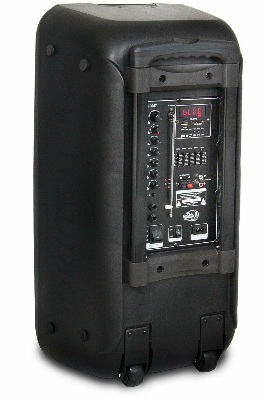 dolphin dual 10 inch speaker