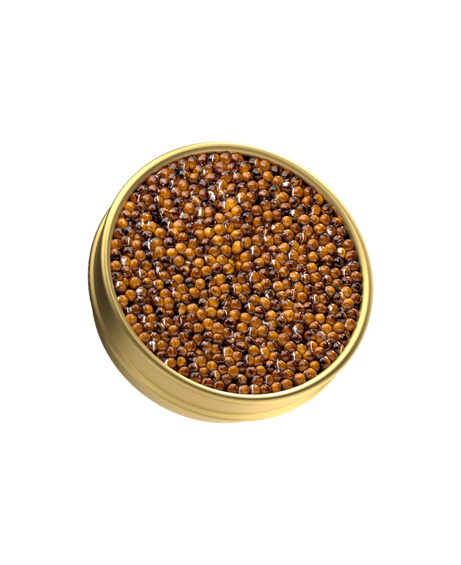 N25 Caviar x Jan Hartwig Kaluga Hybrid Caviar