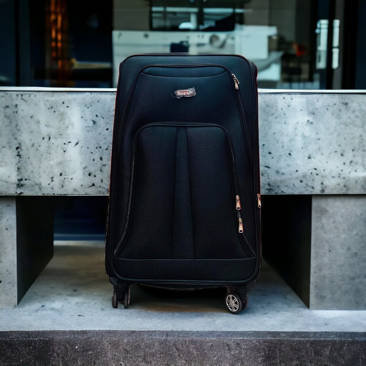 Check In Luggage