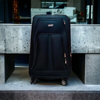 Check In Luggage