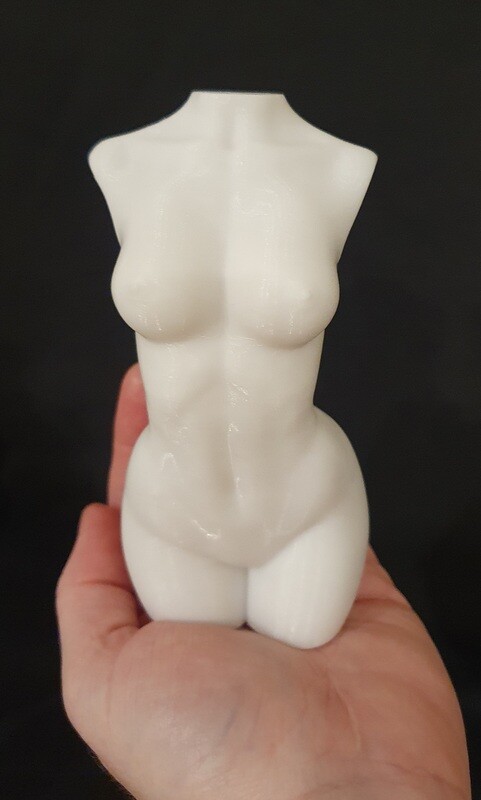 LARGE 5 INCH 3D WOMANS FEMALE TORSO SILICONE MOULD