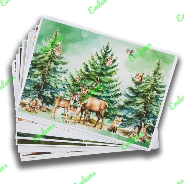 Emlems 35 x A4 Wildlife Craft Papers 160gsm