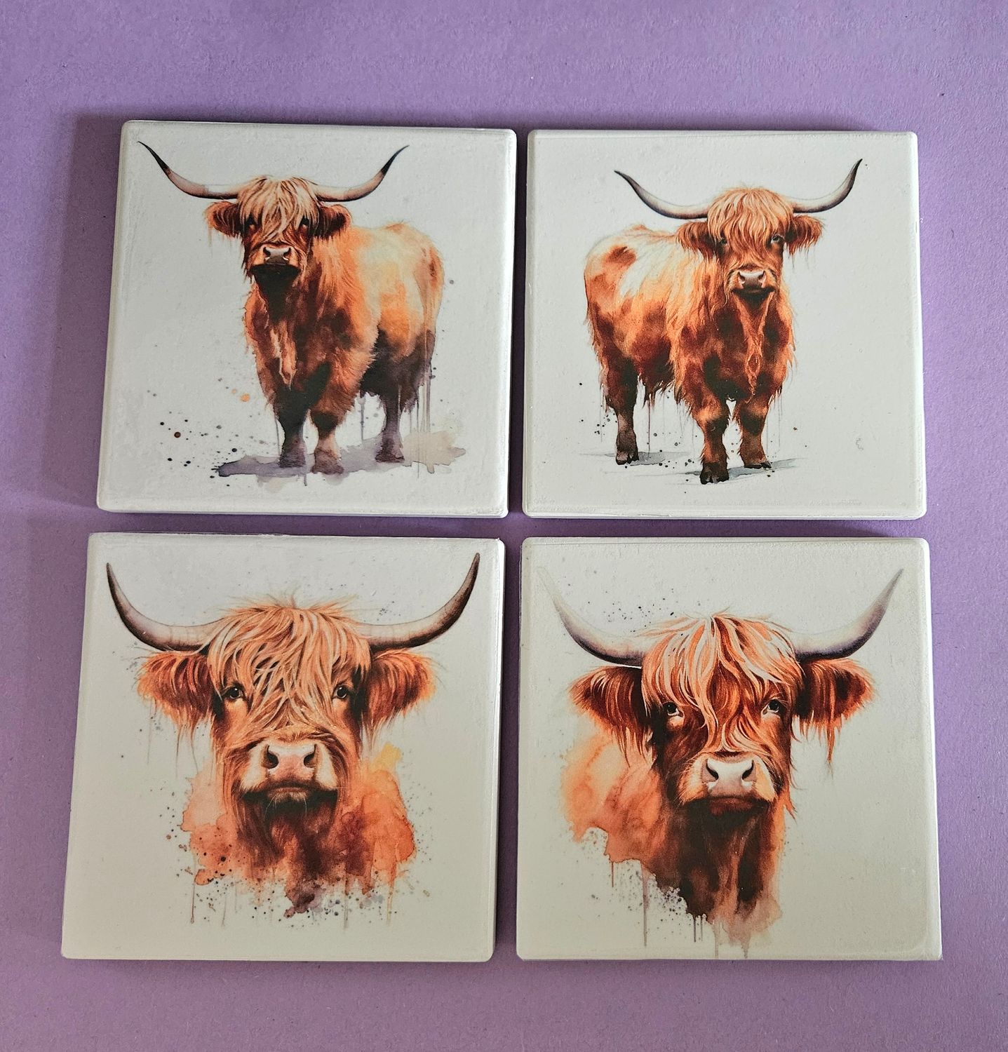 Handmade Highland Cow Portraits Ceramic Coasters x 4 by Emlems Giftware