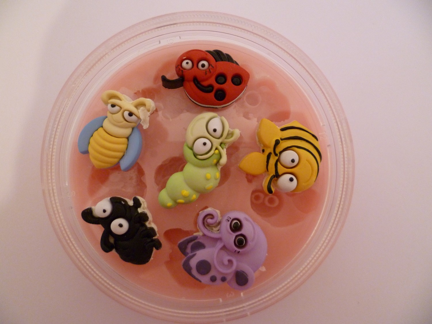 BUGS SILICONE MOULD