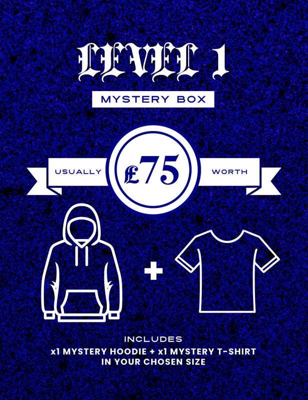 LEVEL 1 MYSTERY BOX