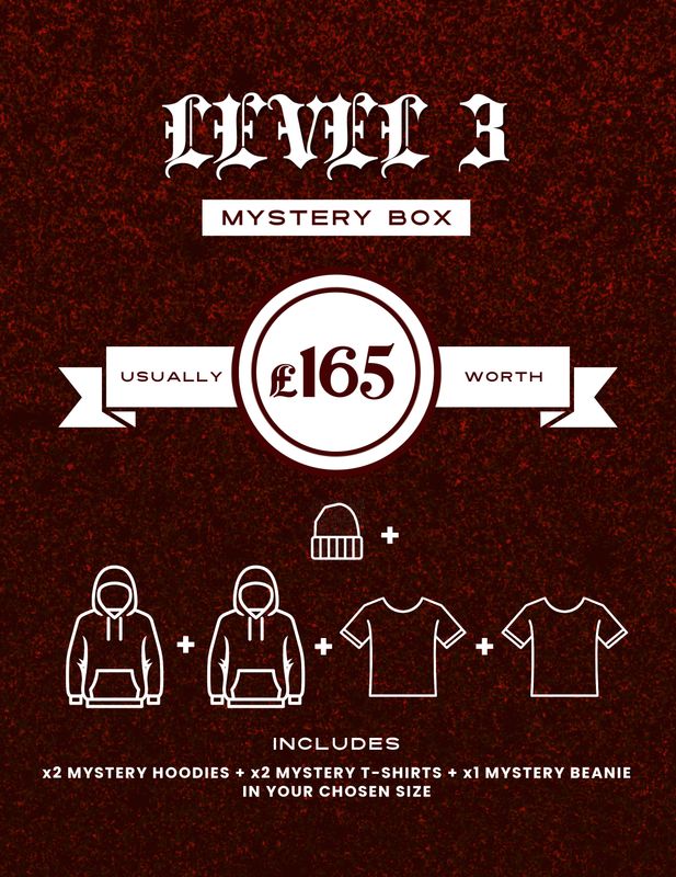 LEVEL 3 MYSTERY BOX