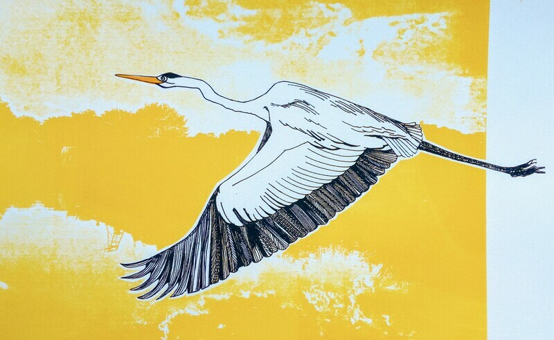OK Heron at the Pineapple Canal OK Heron at the Pineapple Canal