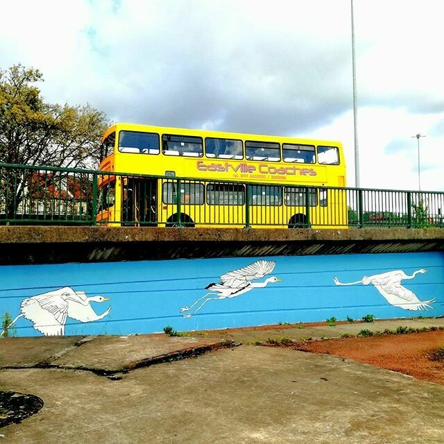 OK Heron at the Pineapple Canal