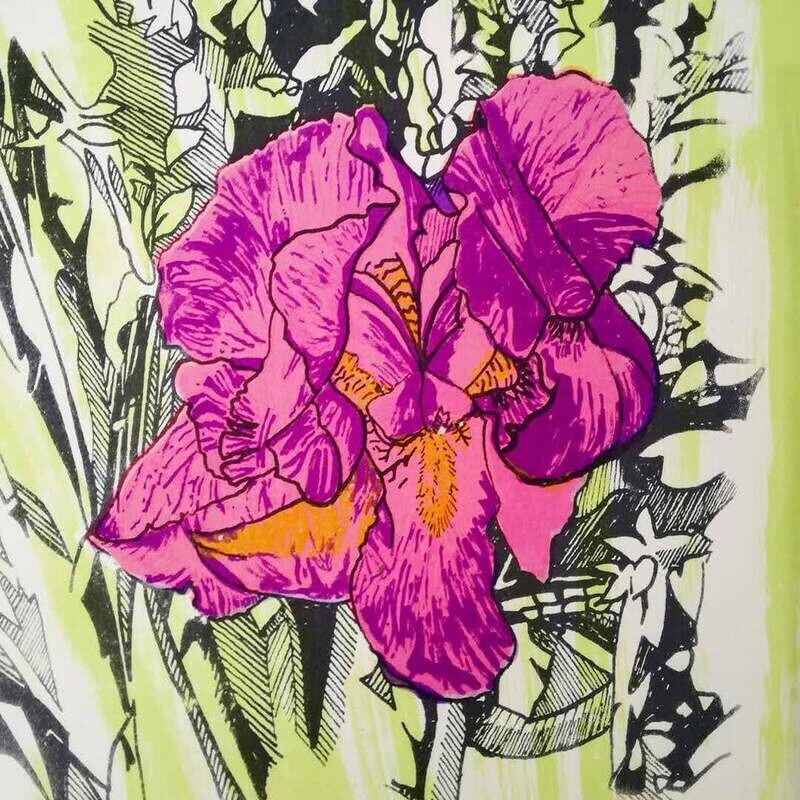 Iris