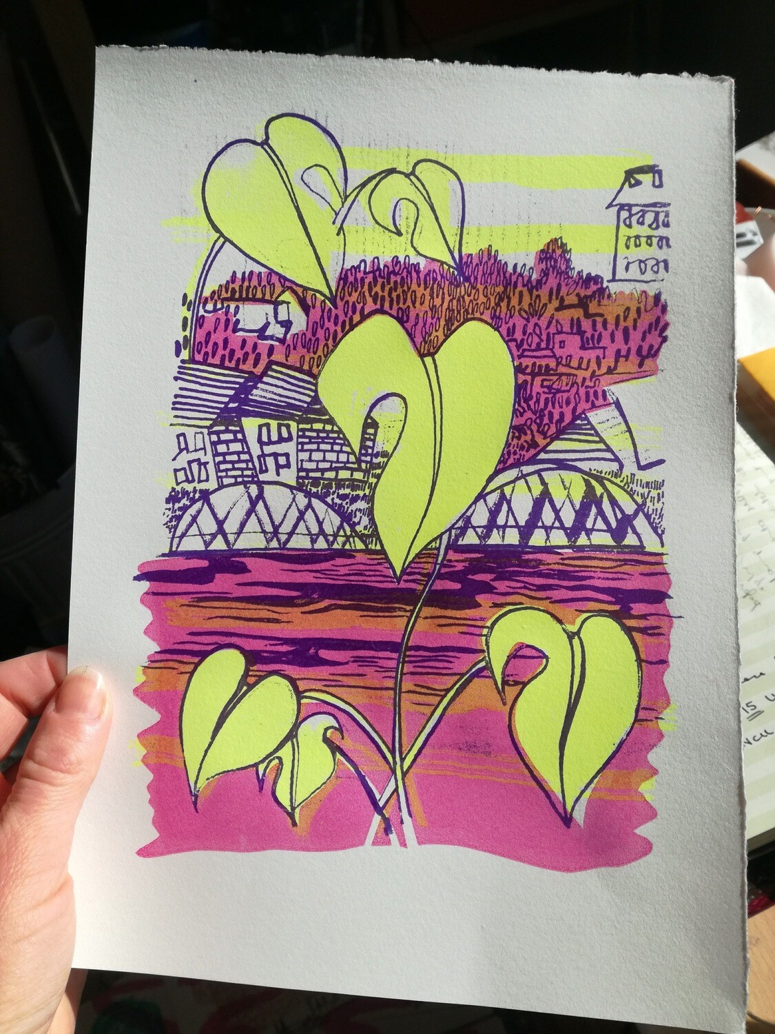 Cheese Plant Dreams