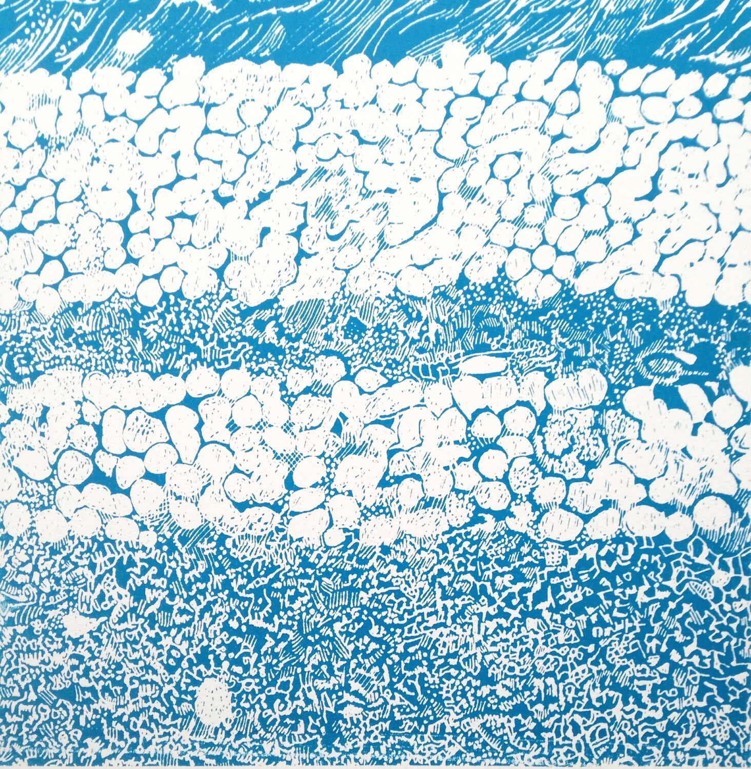 Polarised Bi-Polar Cells