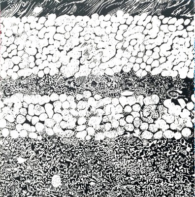 Polarised Bi-Polar Cells