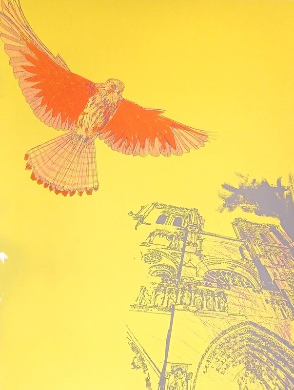 The Kestrel of Notre Dame