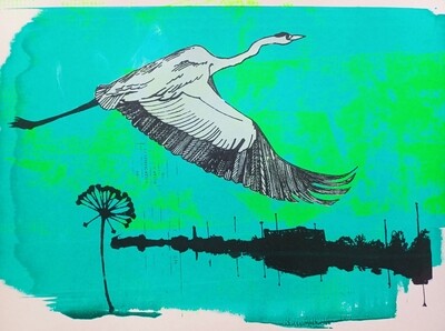 Heron Skies