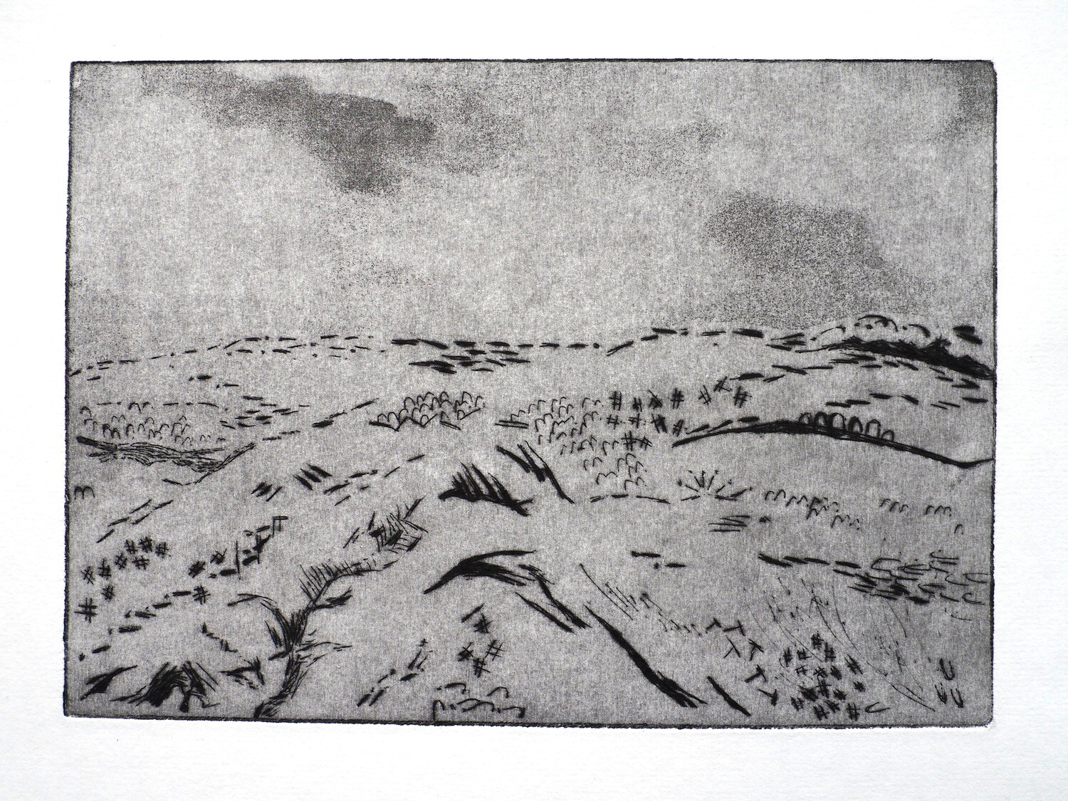 Landscape 1