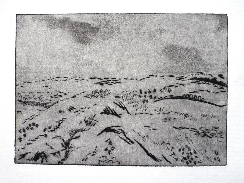 Landscape 1