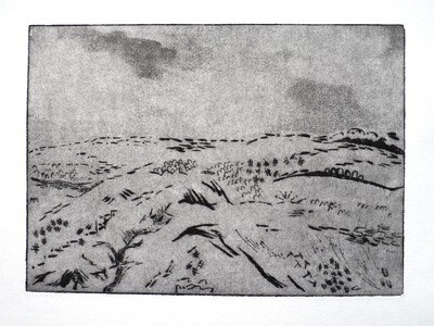 Landscape 1