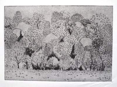 Can't See it for the Trees - Artist proof Can't See it for the Trees - Artist proof