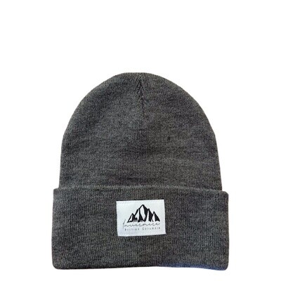 Ambler Invermere Beanie