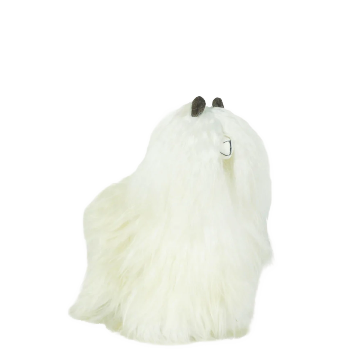 Pokoloko Alpaca Fur Standing Suri Alpaca