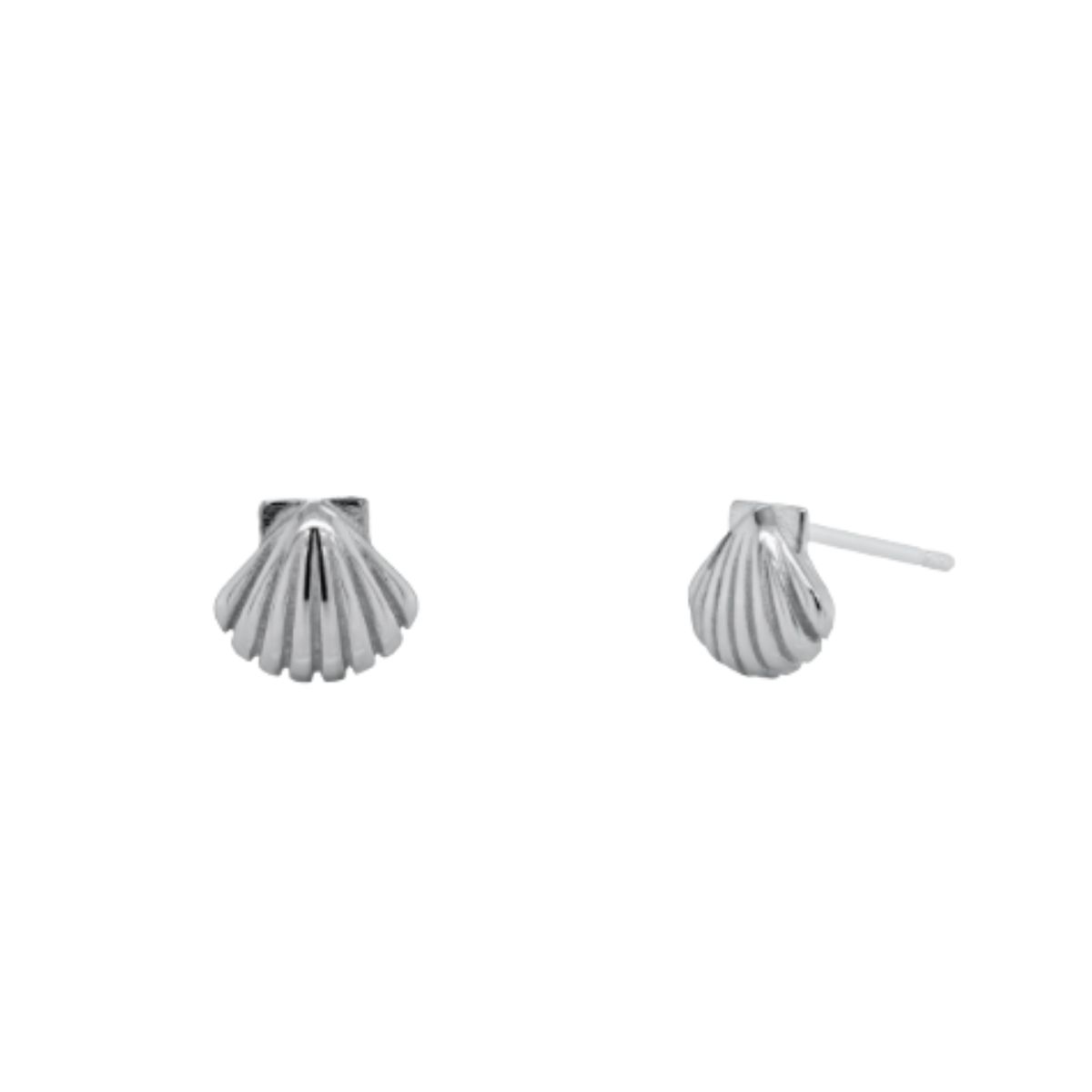 HOJ Sterling Silver Rhodium Plated Seashell Studs (ST-1710-RH)