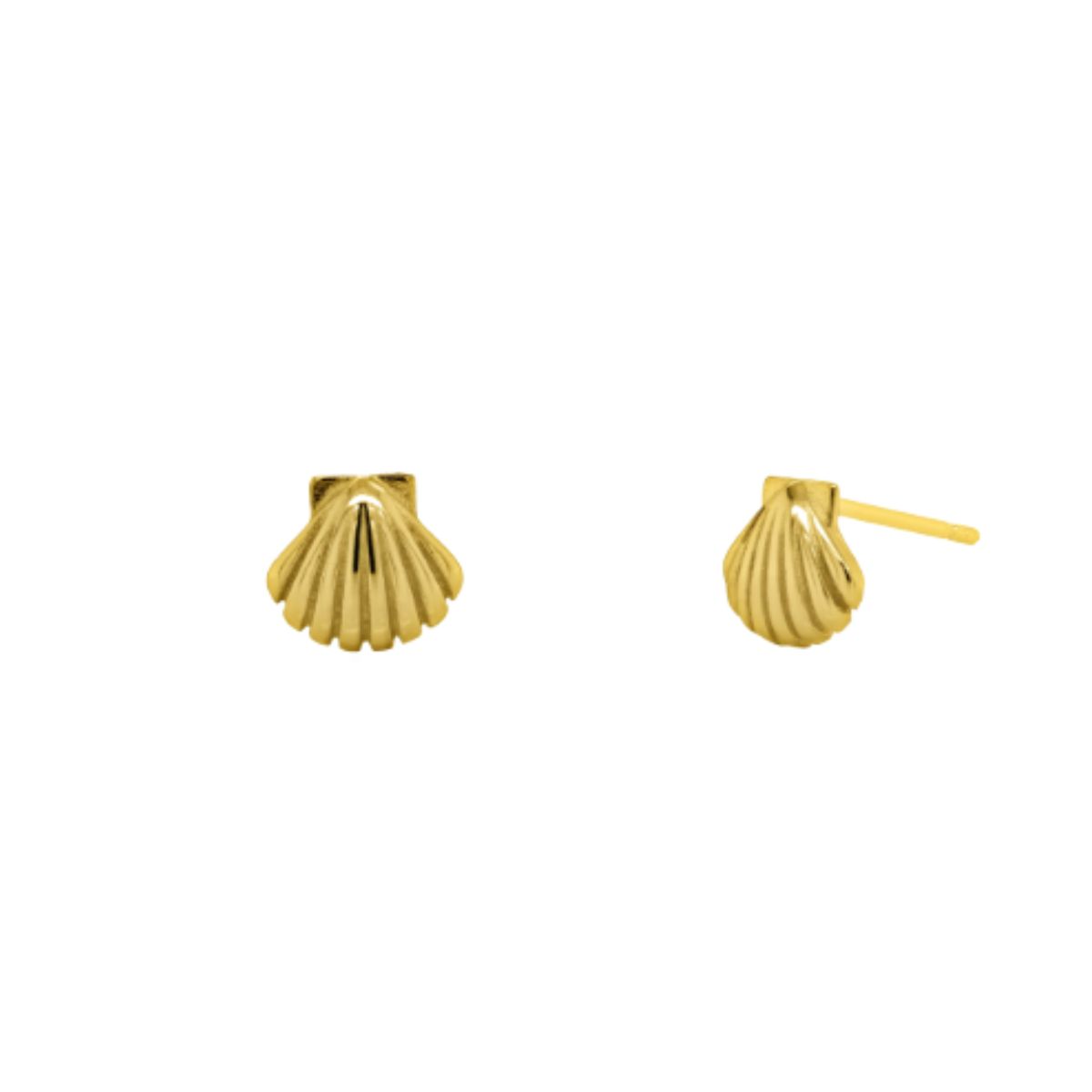 HOJ Sterling Silver Gold Vermeil Seashell Studs (ST-1710-G)