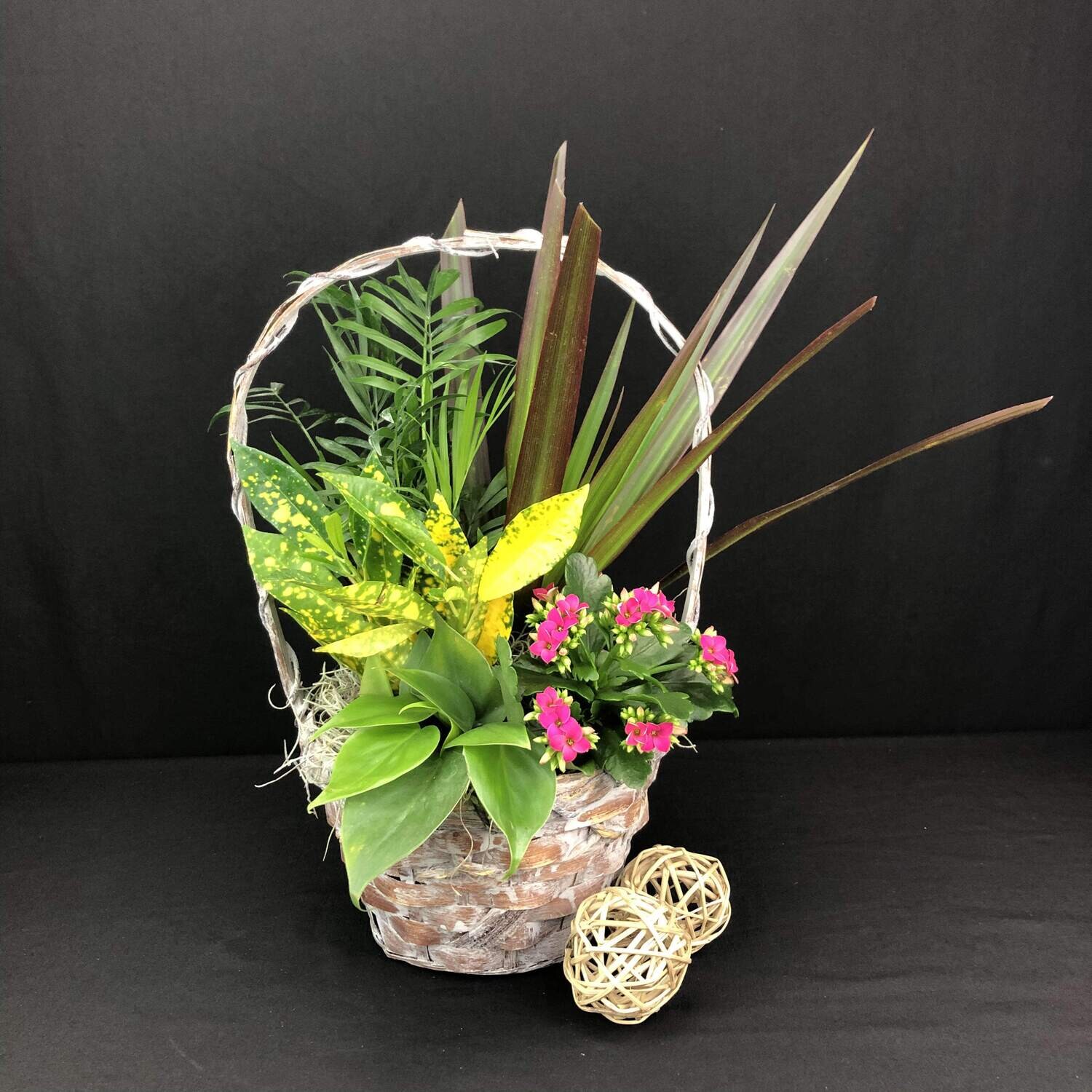 Blooming Wicker Dish Garden